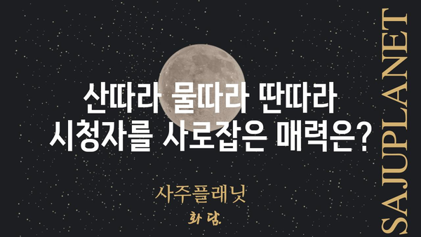 "산따라 물따라 딴따라" 시청률 분석 |  인기 비결과 향후 전망