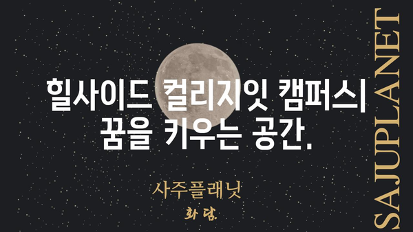 힐사이드 컬리지잇| 당신의 꿈을 현실로 만드는 곳 | 힐사이드컬리지잇, 교육, 입학, 캠퍼스, 커리큘럼