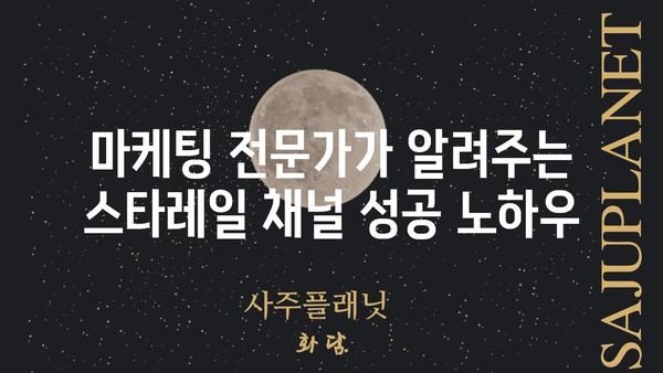 스타레일 채널| 당신의 콘텐츠 전략을 위한 완벽 가이드 | 홍보, 마케팅, 팬덤