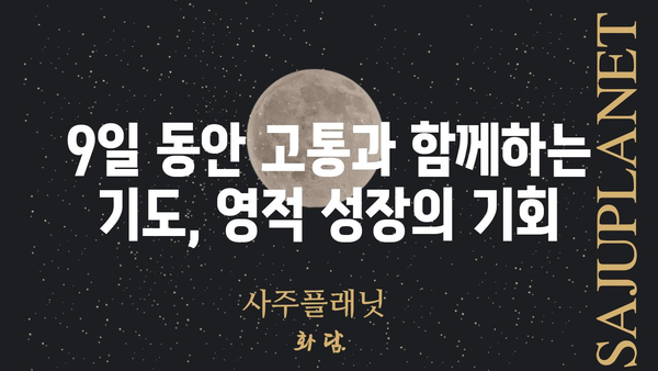 9일 기도| 고통의 신비를 묵상하며 영적 성장을 위한 여정 | 기도, 고통, 신비, 영성, 가톨릭