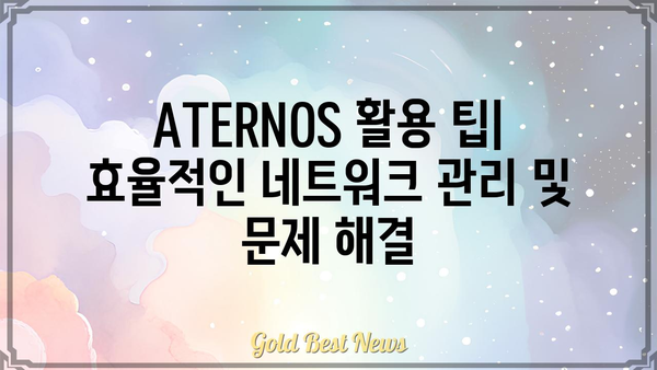 ATERNOS 설치 & 설정 가이드 | 네트워크 보안, 라우터, 방화벽, VPN