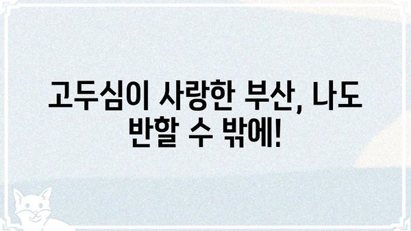 고두심이 사랑한 부산, 나도 가봐야겠다! | 부산 여행, 고두심, 맛집, 명소, 추천