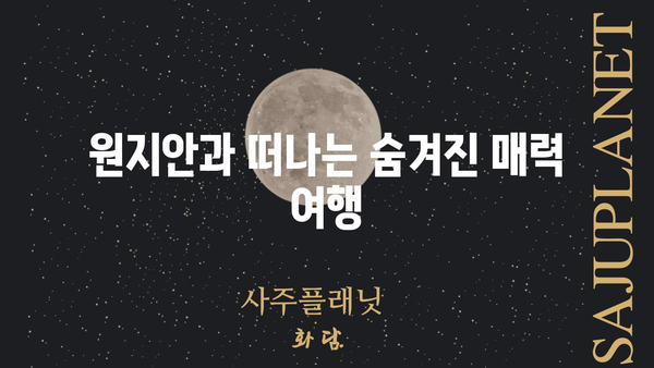 원지안| 숨겨진 매력을 찾아 떠나는 여행 | 원지안, 여행지 추천, 국내 여행, 여행 가이드, 여행 정보