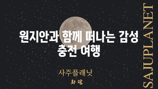 원지안| 숨겨진 매력을 찾아 떠나는 여행 | 원지안, 여행지 추천, 국내 여행, 여행 가이드, 여행 정보