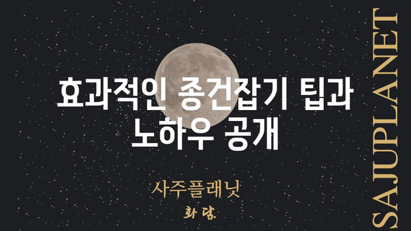 종건잡기 완벽 가이드| 효과적인 종건잡기 전략과 팁 | 종건잡기, 효율적인 건설, 시공 관리, 건설 프로젝트 성공 전략