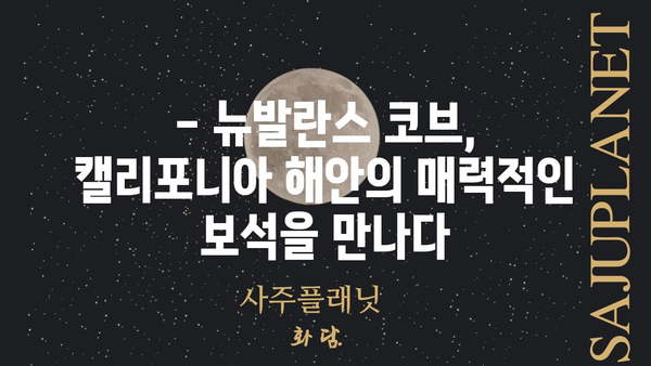 뉴발란스 코브| 캘리포니아의 매력적인 해안 도시 탐험 | 캘리포니아 여행, 해변, 서핑, 관광 명소, 미국 여행