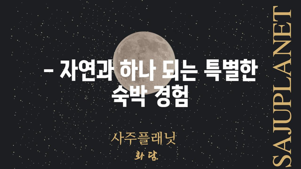 완주 트리하우스| 꿈꿔왔던 자연 속 휴식, 지금 바로 만나보세요 | 전북 완주, 숙소 추천, 숲 속 힐링, 트리하우스 체험