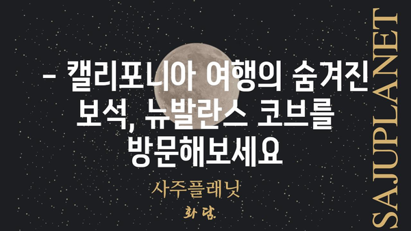 뉴발란스 코브| 캘리포니아의 매력적인 해안 도시 탐험 | 캘리포니아 여행, 해변, 서핑, 관광 명소, 미국 여행