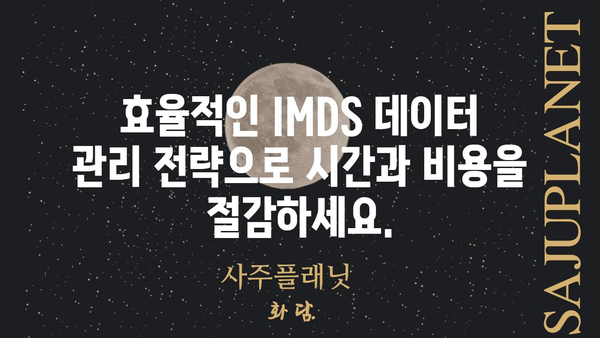 IMDS 데이터 관리 가이드| 효율적인 자동차 부품 정보 관리 전략 | IMDS, 자동차 부품, 데이터 관리, 정보 시스템