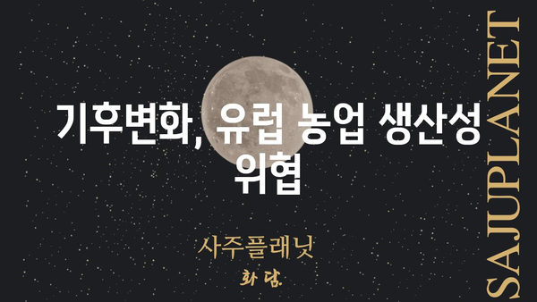 EU24 뉴스| 오늘의 주요 헤드라인 | 유럽, 뉴스, 정치, 경제, 사회