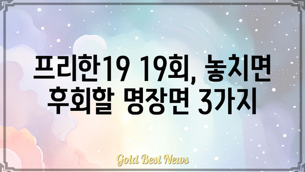 프리한19 19회차 다시보기| 놓치지 말아야 할 명장면과 꿀팁 대공개 | 프리한19, 19회, 다시보기, 명장면, 꿀팁