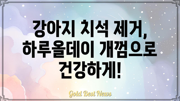 하루종일 씹는 재미! 하루올데이 개껌 추천 가이드 | 강아지 간식, 장시간 씹는 개껌,  강아지 치석 제거