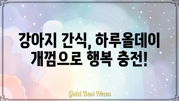 하루종일 씹는 재미! 하루올데이 개껌 추천 가이드 | 강아지 간식, 장시간 씹는 개껌,  강아지 치석 제거