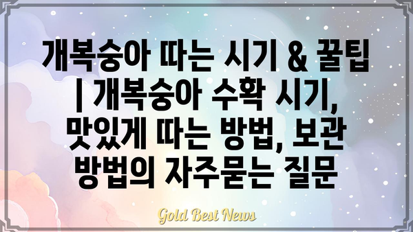 개복숭아 따는 시기 & 꿀팁 | 개복숭아 수확 시기, 맛있게 따는 방법, 보관 방법