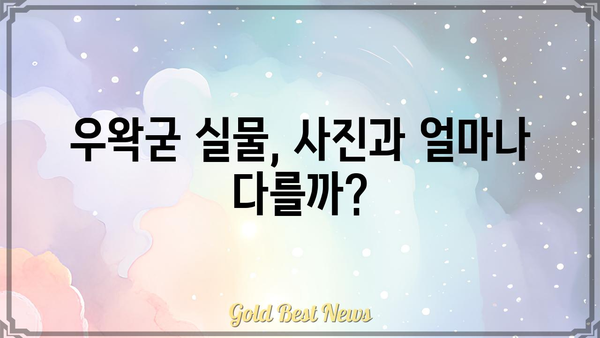 우왁굳 실물, 실제로 보니 어떨까? | 우왁굳, 실물, 비교, 후기