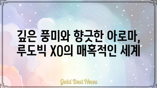 루도빅 XO| 럭셔리 코냑의 매력 | 루도빅, XO, 코냑, 프랑스, 와인, 주류, 술, 선물, 고급, 리뷰, 가격