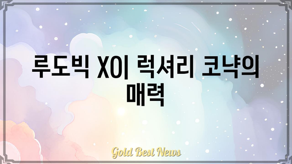 루도빅 XO| 럭셔리 코냑의 매력 | 루도빅, XO, 코냑, 프랑스, 와인, 주류, 술, 선물, 고급, 리뷰, 가격