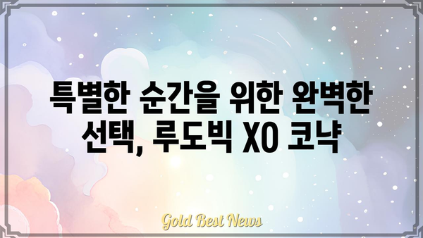 루도빅 XO| 럭셔리 코냑의 매력 | 루도빅, XO, 코냑, 프랑스, 와인, 주류, 술, 선물, 고급, 리뷰, 가격