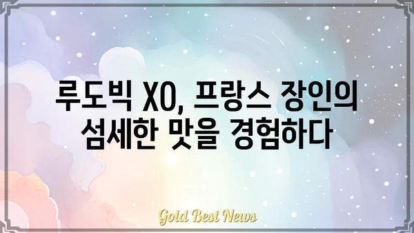 루도빅 XO| 럭셔리 코냑의 매력 | 루도빅, XO, 코냑, 프랑스, 와인, 주류, 술, 선물, 고급, 리뷰, 가격