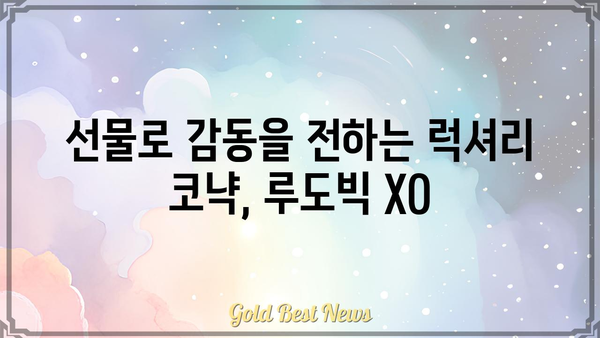 루도빅 XO| 럭셔리 코냑의 매력 | 루도빅, XO, 코냑, 프랑스, 와인, 주류, 술, 선물, 고급, 리뷰, 가격